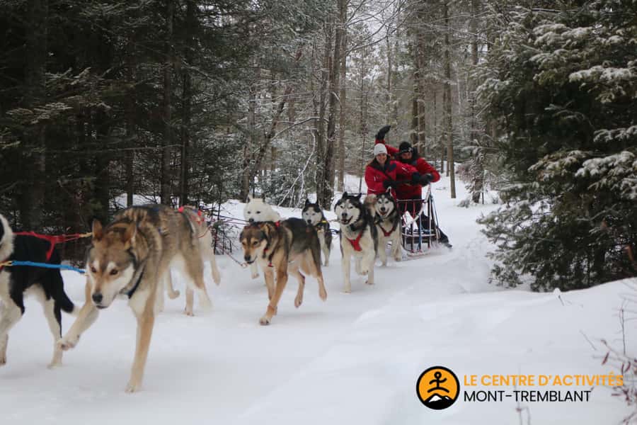 Mont-Tremblant: Dogsledding Valley Adventure - How the sled positions work for families