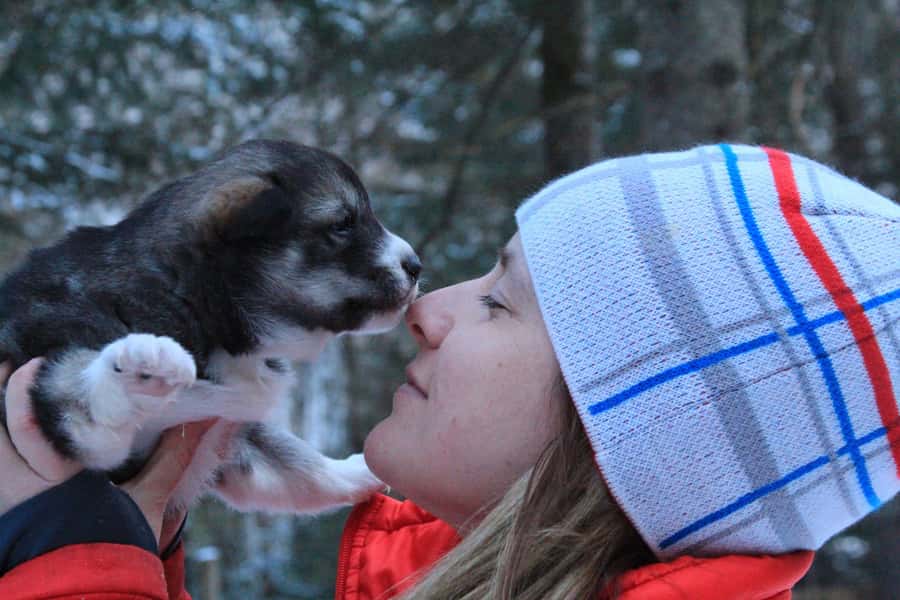 Mont-Tremblant: Dogsledding Valley Adventure - What the experience feels like for first-time mushers