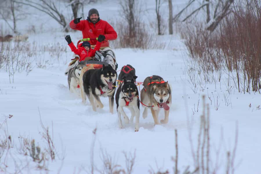 Mont-Tremblant: Dogsledding Valley Adventure - Learning to handle your own sled team