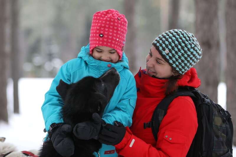 Mont-Tremblant: Guided Dogsledding Tour with Hot Chocolate - Harnessing the Dogs Before the Trail