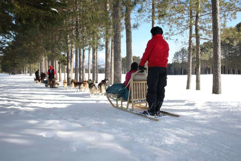 Mont-Tremblant: Guided Dogsledding Tour with Hot Chocolate - Learning to Drive a Dogsled
