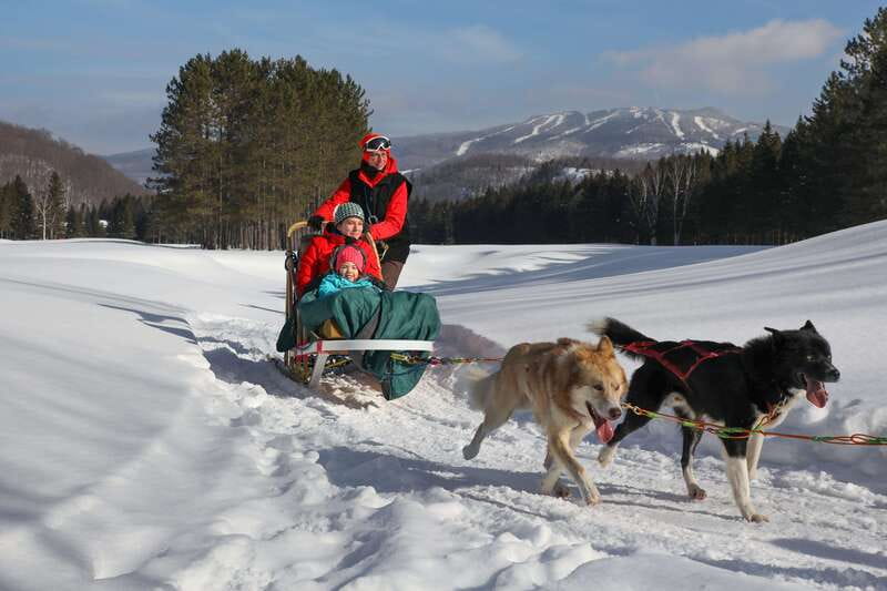 Mont-Tremblant: Guided Dogsledding Tour with Hot Chocolate - Cold Weather and Physical Effort