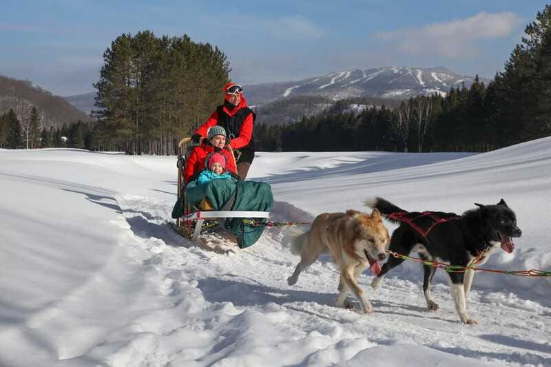 Mont-Tremblant: Guided Dogsledding Tour with Hot Chocolate - Time With the Dogs After the Ride