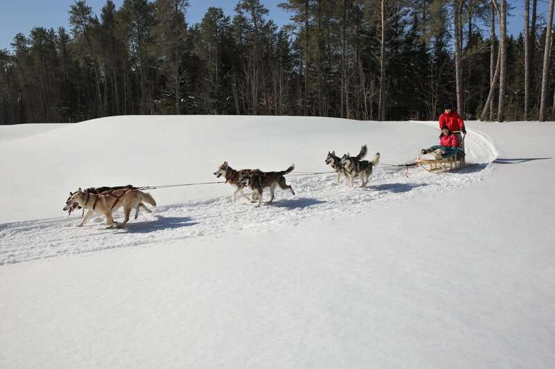 Mont-Tremblant: Guided Dogsledding Tour with Hot Chocolate - Hot Chocolate in the Yurt
