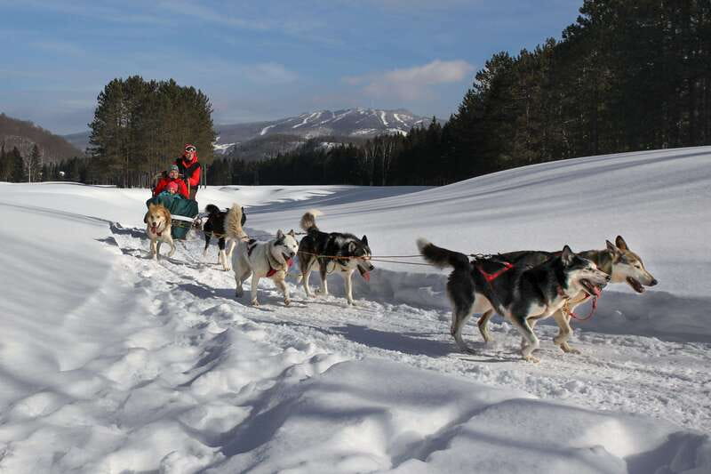 Mont-Tremblant: Guided Dogsledding Tour with Hot Chocolate - Price, Timing, and Cancellation Flexibility