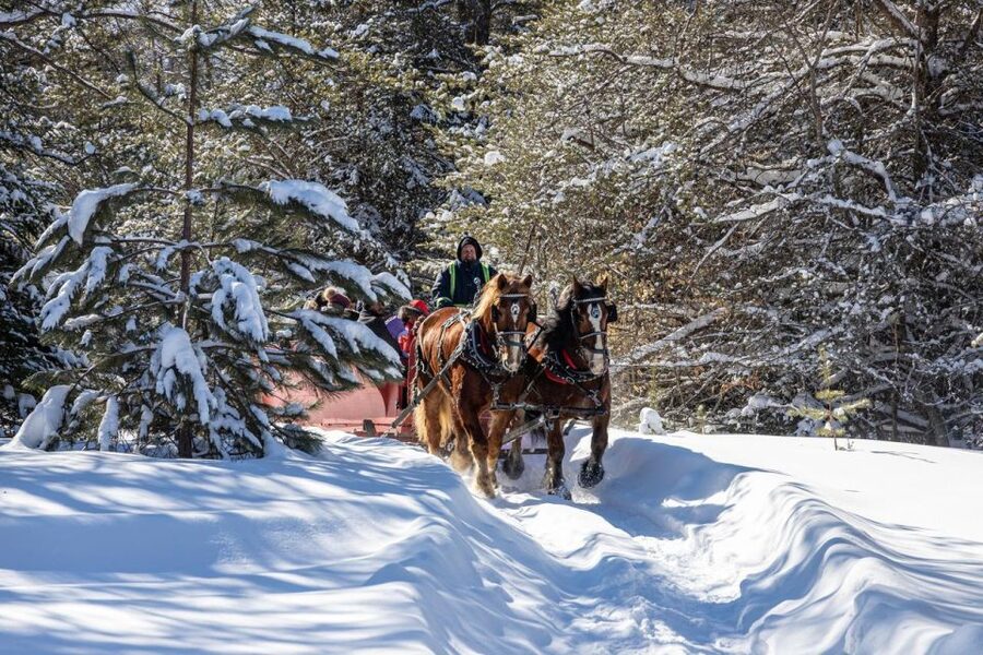 Mont-Tremblant: Sleigh Ride w/ Storytelling & Hot Chocolate - Key points to know before you book