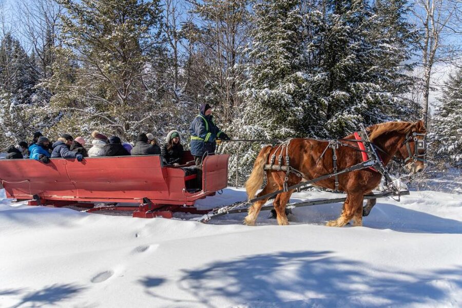 Mont-Tremblant: Sleigh Ride w/ Storytelling & Hot Chocolate - A gentle way to meet Mont-Tremblant after dark