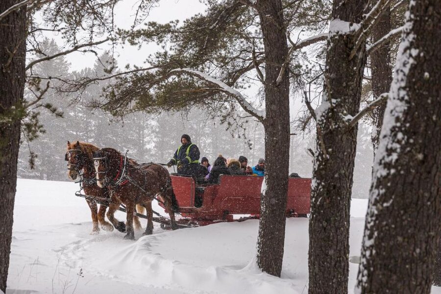 Mont-Tremblant: Sleigh Ride w/ Storytelling & Hot Chocolate - Hot chocolate, maple candy, and the practical warm-up