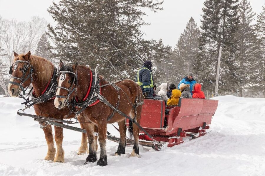 Mont-Tremblant: Sleigh Ride w/ Storytelling & Hot Chocolate - Choosing between daylight and a starry departure