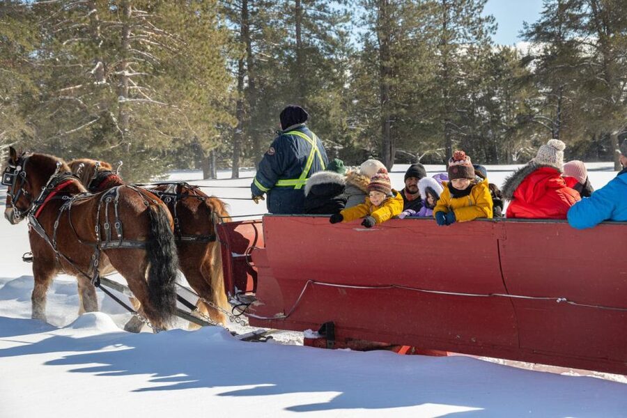 Mont-Tremblant: Sleigh Ride w/ Storytelling & Hot Chocolate - Who will enjoy this ride most