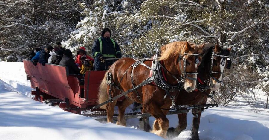 Mont-Tremblant: Sleigh Ride w/ Storytelling & Hot Chocolate - Fields, trees, and the sound of a local story