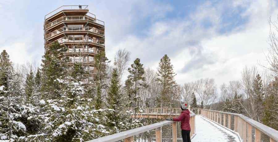 Mont-Tremblant: Treetop Observatory and Self-Guided Walk - Key points at a glance