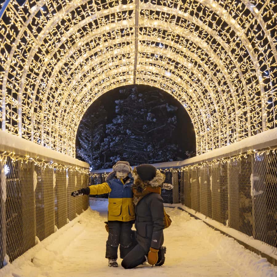 Mont-Tremblant: Treetop Observatory and Self-Guided Walk - The nearly one-kilometre forest approach