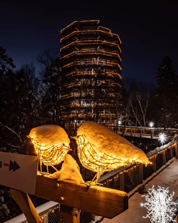 Mont-Tremblant: Treetop Observatory and Self-Guided Walk - What the self-guided format adds