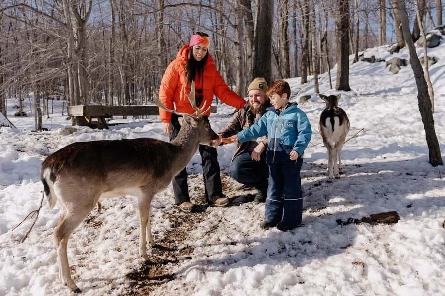 Montebello, QC: General Admission to Parc Omega - Key points to know before you go