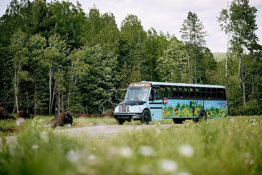 Montebello, QC: Morning VIP Tour at Parc Oméga - Key points to know before booking