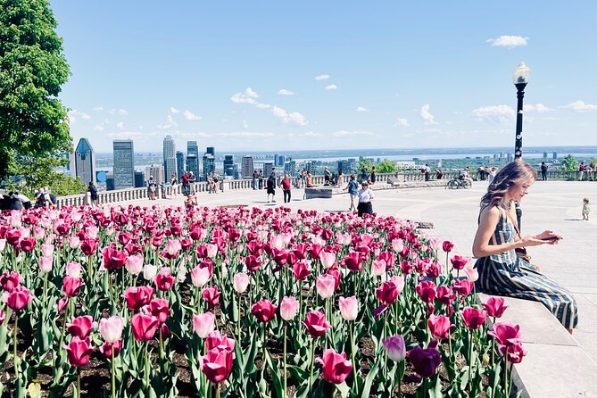 Montreal: 3-Hour Private Car Tour with Expert & Free Pick up - Old Montreal: cobblestones, churches, and the Saint Lawrence