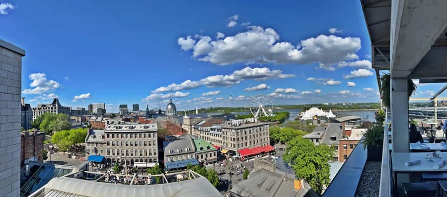 Montreal 3-Hour Private Car Tour with Expert Local Guide - St. Joseph’s Oratory and a quieter side of Montreal