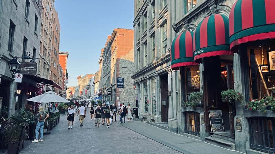 Montreal 3-Hour Private Car Tour with Expert Local Guide - Neighborhoods with French, Portuguese, and Italian roots