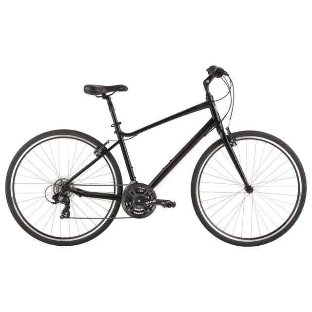 Montreal: All-Day Bicycle Rental - How the price compares with the experience