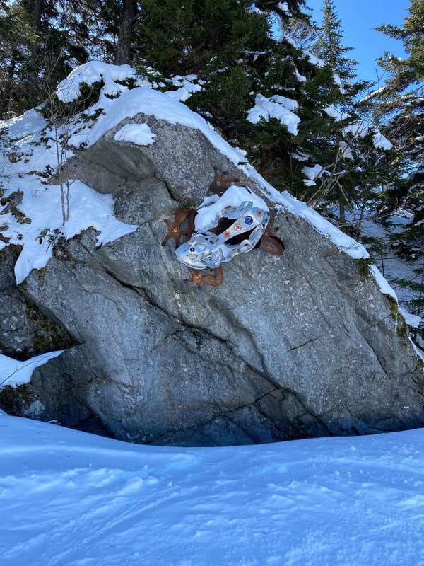 Montreal: Canadian Forest Guided Tour by Snowmobile - Should you book this Montreal snowmobile tour?