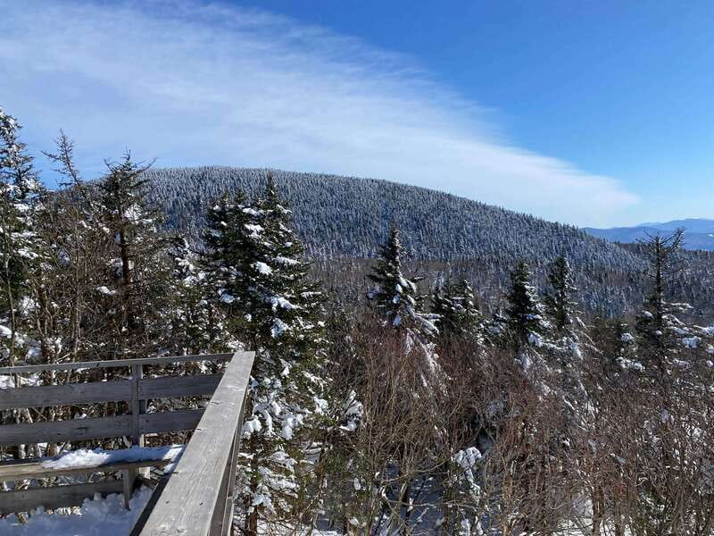 Montreal: Canadian Forest Guided Tour by Snowmobile - Who will enjoy this snowmobile outing