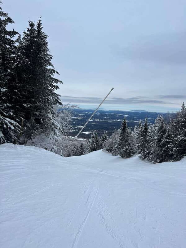 Montreal: Canadian Forest Guided Tour by Snowmobile - My take on the guides and safety briefing