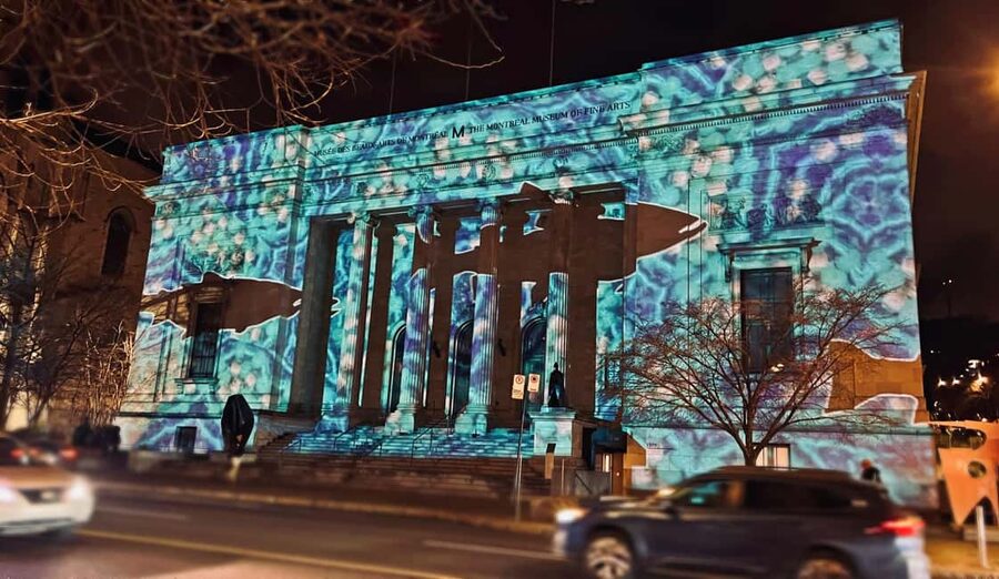 Montreal: Christmas Lights Private Walking Tour - Gustavo Trindade’s guiding style