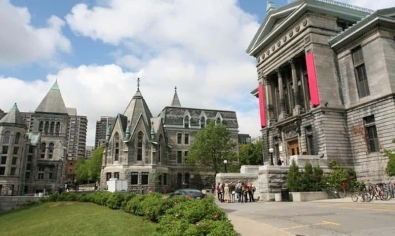 Montreal : Downtown & Underground Walking Tour with a Guide - What private customization is really worth