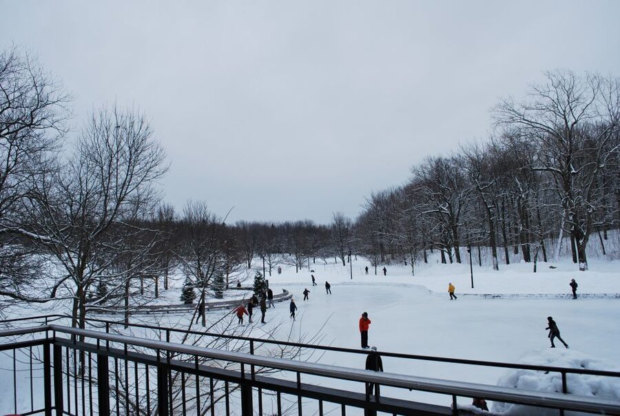 Montreal: Full-Day Small Group City Tour - Jacques Cartier Bridge and St. Helen’s Island