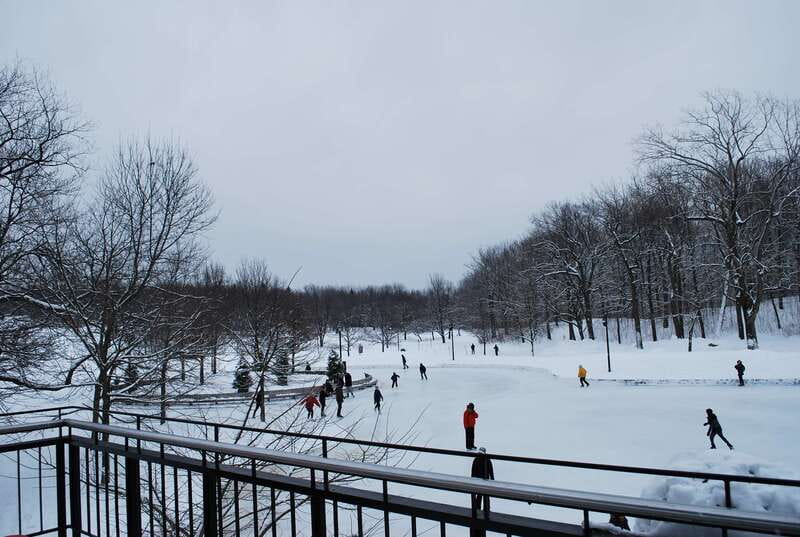 Montreal: Full-Day Small Group City Tour - Old Montreal, lunch, and the Notre-Dame photo stop