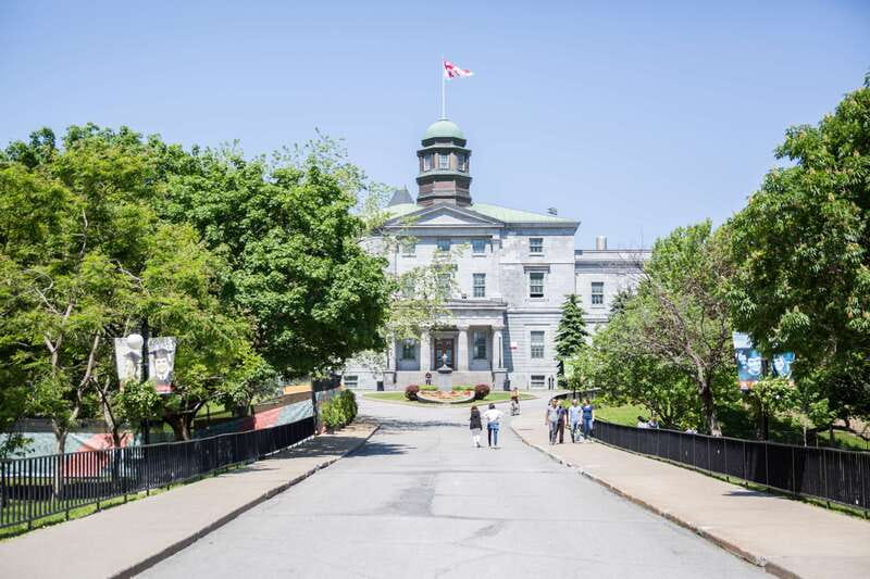 Montreal: Guided Bike Tour of City, Old Port & Plateau - McGill and the business district add the city’s modern side