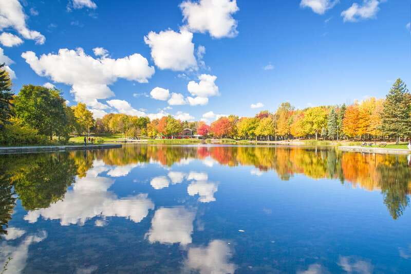 Montreal: Guided Bus Tour - Why this bus tour works well on a first day