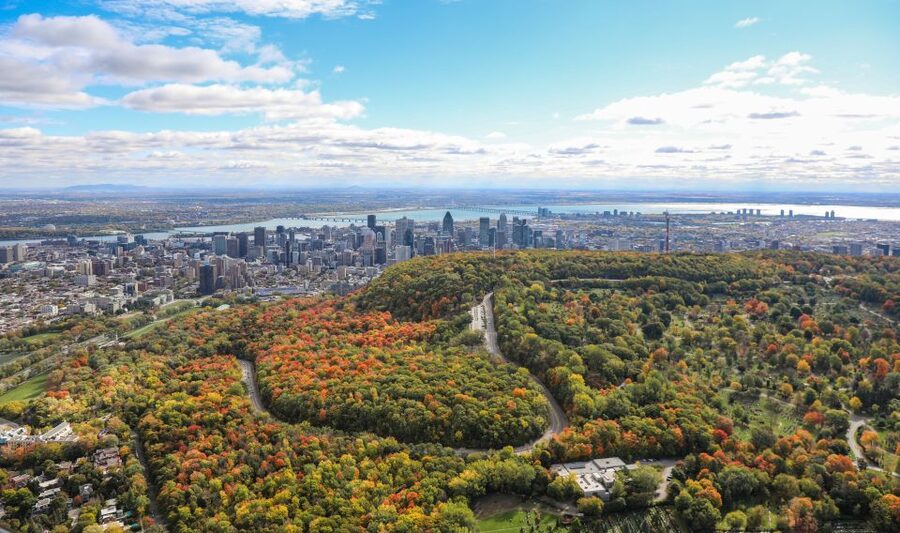 Montreal: Guided Helicopter Tour - Who will enjoy this most