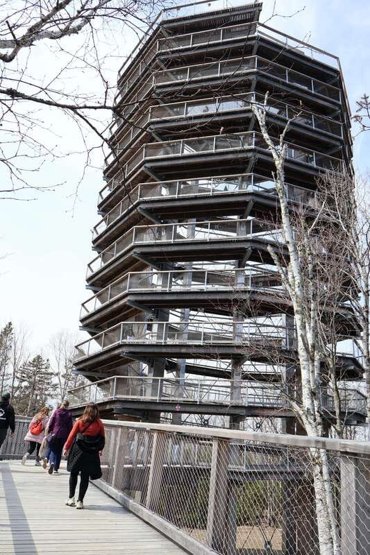 Montreal: Guided tour of the Laurentides Mont Tremblant - Mont-Tremblant’s gondola is the visual high point