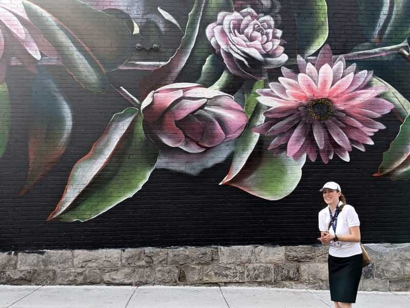 Montreal: Guided Walking Tour of Montreal's Murals - The Mural Festival zone and the public face of urban art