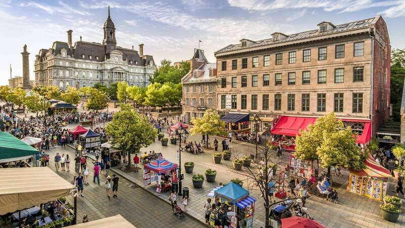 Montreal: Half-day Guided City Tour - Mount Royal Park for city views