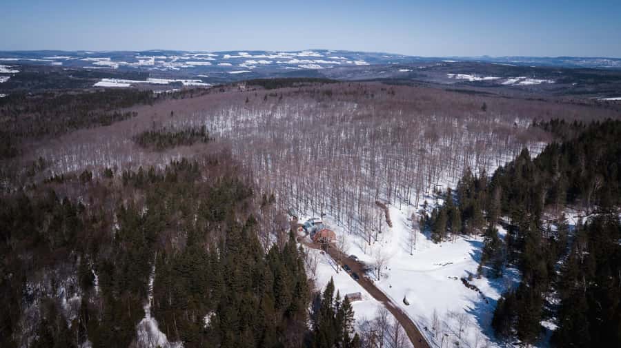Montréal: Maple Syrup Tasting Conference! - The taffy on snow moment
