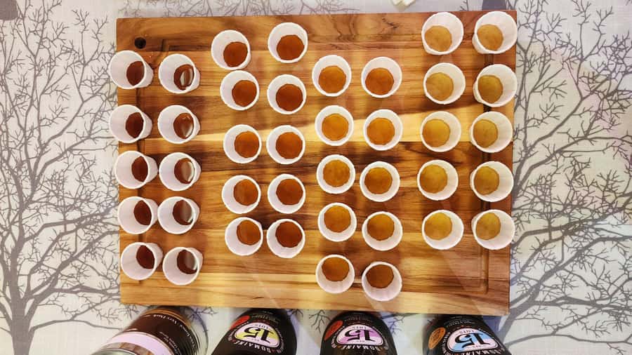 Montréal: Maple Syrup Tasting Conference! - Who should book this maple tasting?