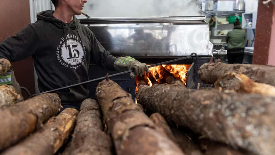 Montréal: Maple Syrup Tasting Conference! - Practical details before you go