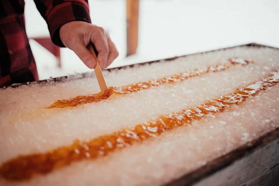 Montreal: Maple Syrup Tour with Sugar Shack & Local Cuisine - Key points to know before booking