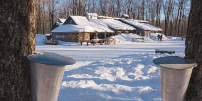 Maple Syrup Tour with Sugar Shack & Local Cuisine