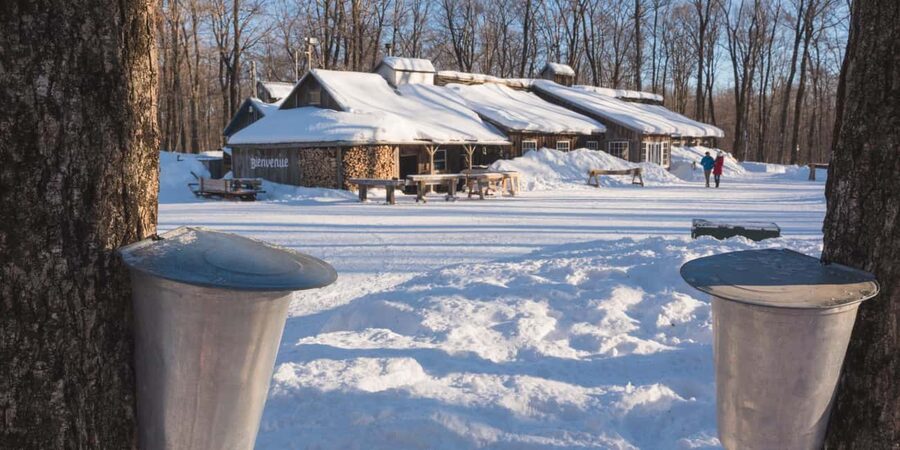 Montreal: Maple Syrup Tour with Sugar Shack & Local Cuisine - Leaving Montreal at 10:00 am