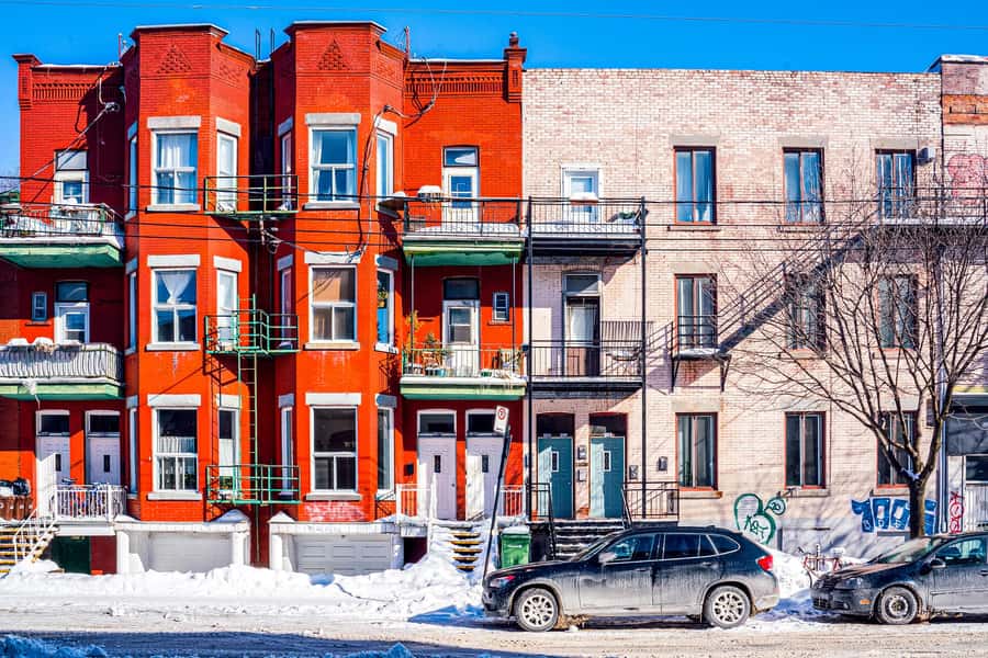 Montreal: Mile End District Food Tour with 8+ Tastings - How much walking and how much food?