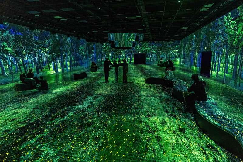 Montreal: OASIS Immersion Entry Ticket - Practical details that affect your visit
