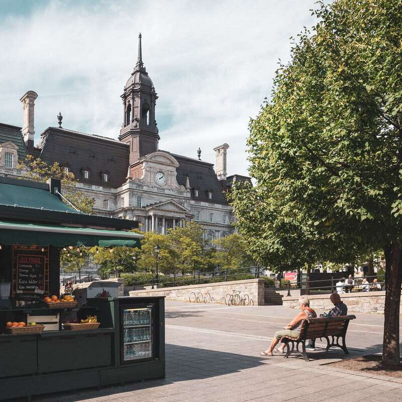 Montreal: Old Montreal Guided Walking Tour - Notre-Dame Basilica and the power of a landmark