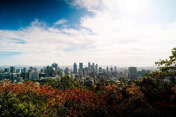 Montreal Premium Driving Tour with River Cruise and Notre Dame - The St. Lawrence cruise and La Grande Roue alternative