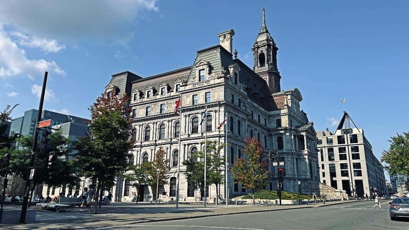 Montreal: Private 2h Walking Tour RESO and Old Montreal - Place d’Armes and Notre-Dame Basilica