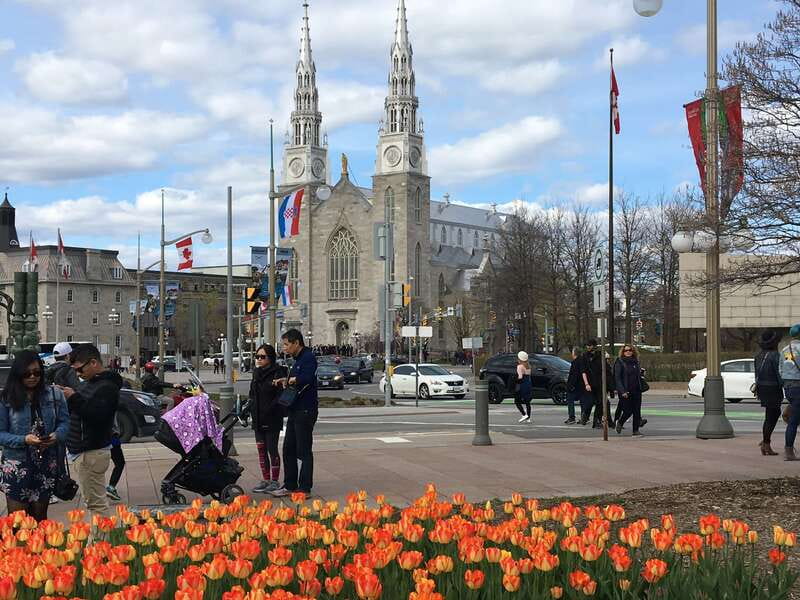 Montreal: Private Day Tour to Ottawa - Ottawa parks and open city views