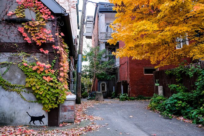 Montreal's Plateau Mont-Royal and Mile End Tour by MTL Detours - Timing, Weather, and Practical Details